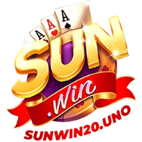 SUNWIN20
